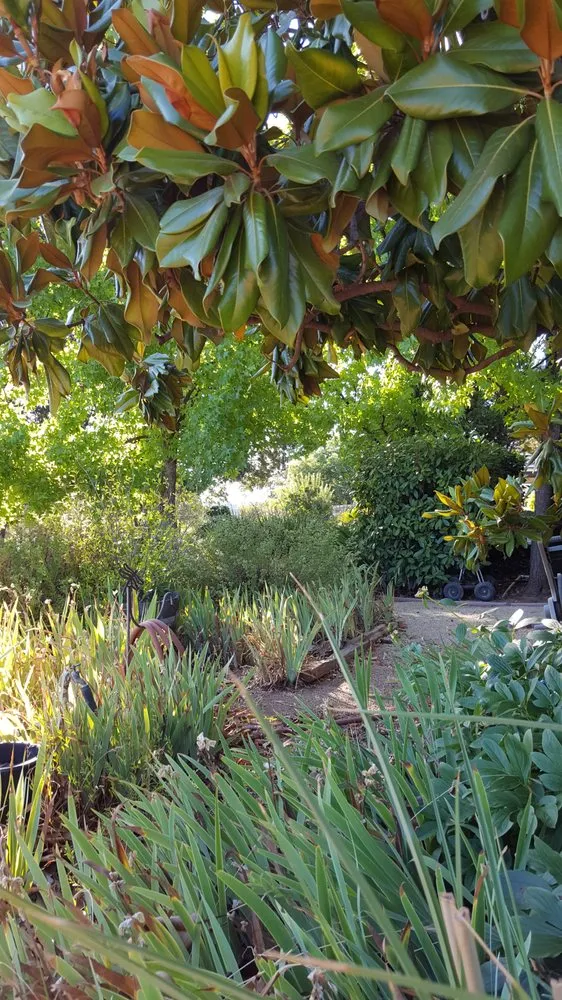 Trusted landscaping services for beautiful yards across Somerset, CA - John Herrmann's Landscaping & Maintenance