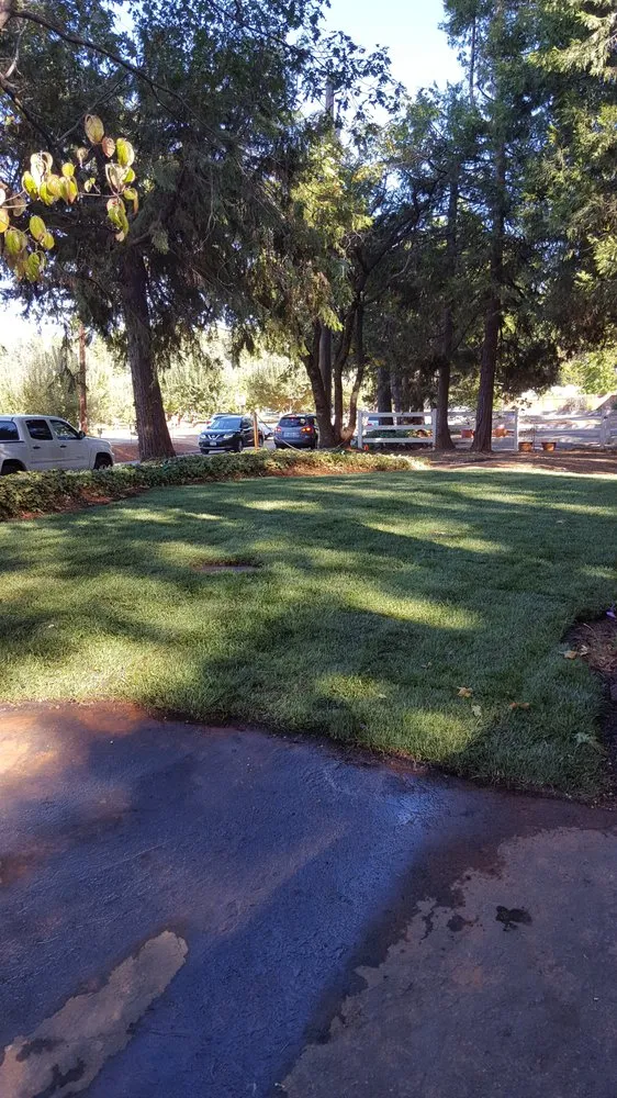 Reliable outdoor landscaping experts serving Somerset, CA - John Herrmann's Landscaping & Maintenance