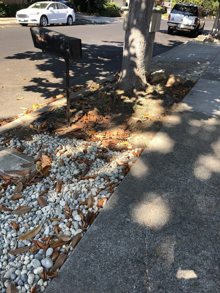 Expert lawn mowing service in Vacaville, CA by John Hess landscape construction