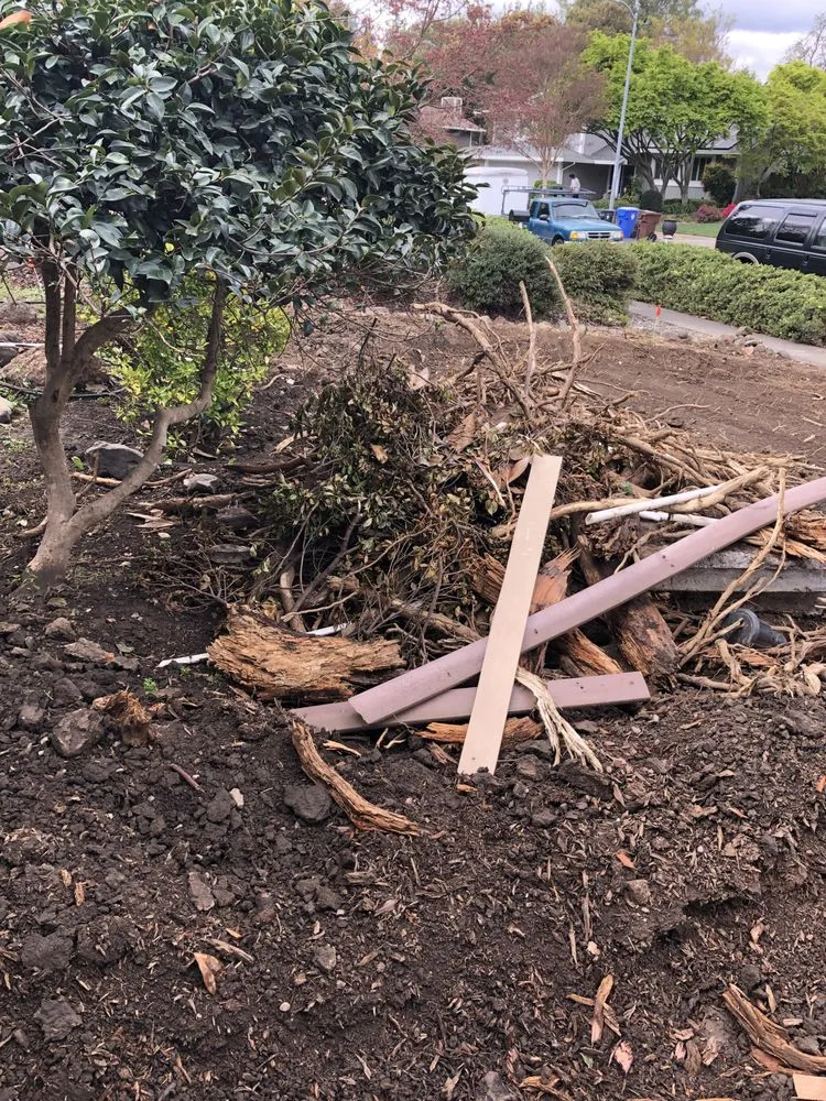 Affordable lawn care service for year-round maintenance across Vacaville, CA - John Hess landscape construction