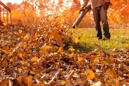 Local lawn care service for year-round maintenance in Winston-Salem, NC by John Home Service