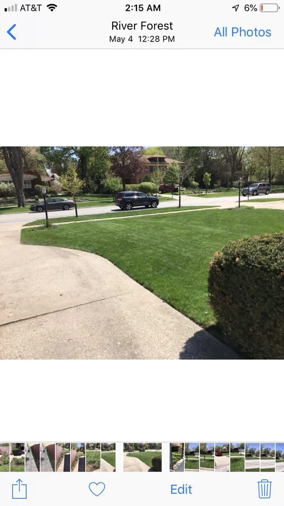 Reliable yard cleanup service for year-round maintenance across Berwyn, IL - John Krohn complete lawncare and snow services