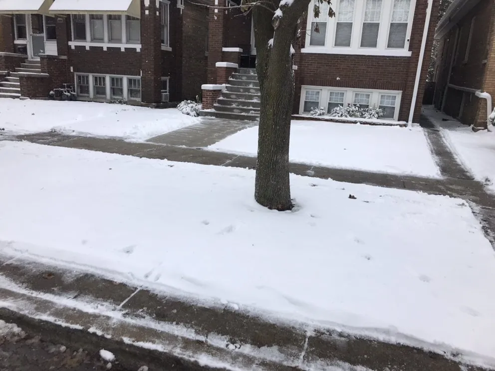 Affordable yard cleanup service for residential properties across Berwyn, IL - John Krohn complete lawncare and snow services