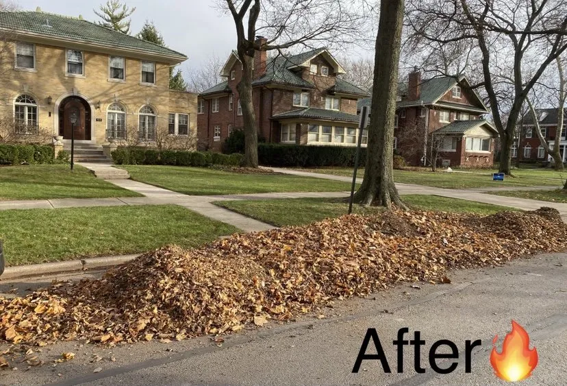 Trusted lawn care service in Berwyn, IL by John Krohn complete lawncare and snow services