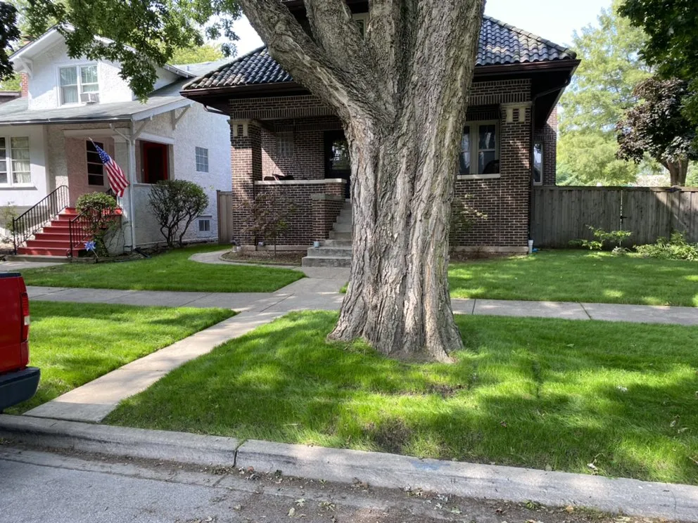 Professional garden landscaping with custom design across Berwyn, IL - John Krohn complete lawncare and snow services