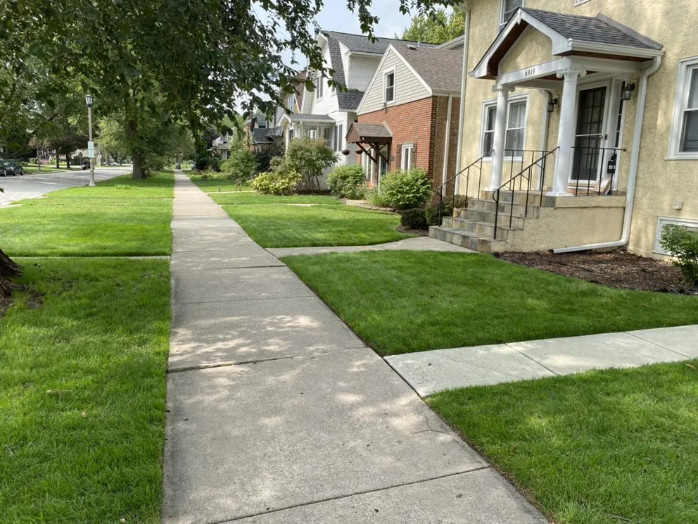 Professional landscaping services for beautiful yards in Berwyn, IL by John Krohn complete lawncare and snow services