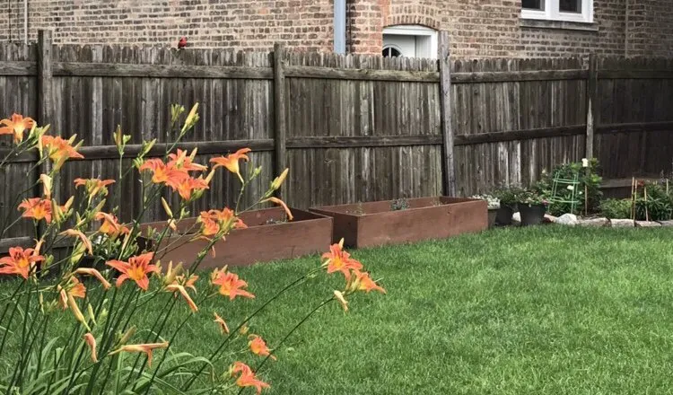 Local lawn mowing service experts serving Berwyn, IL - John Krohn complete lawncare and snow services