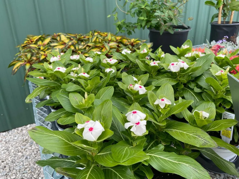 Custom outdoor landscaping in Lebanon, IN - John Lasley Outdoor Solutions