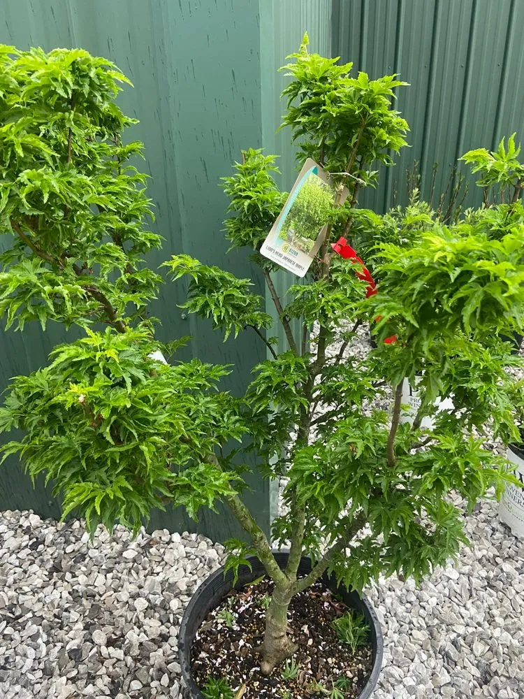 Affordable landscaping services in Lebanon, IN - John Lasley Outdoor Solutions