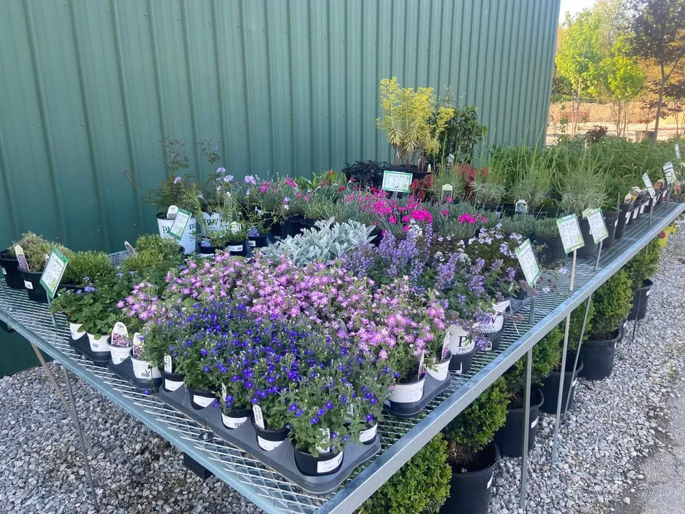 Affordable yard cleanup service for homes in Lebanon, IN by John Lasley Outdoor Solutions