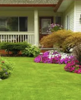 Local residential landscaping in San Antonio, TX - John Lawn Services