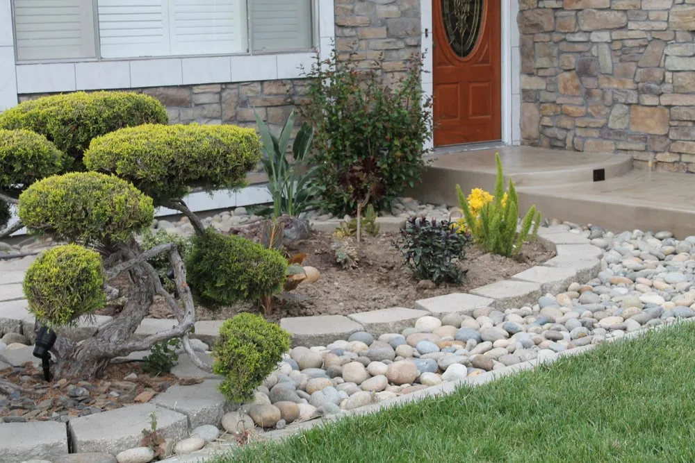 Affordable yard cleanup service for year-round maintenance across Tracy, CA - John Le Landscaping