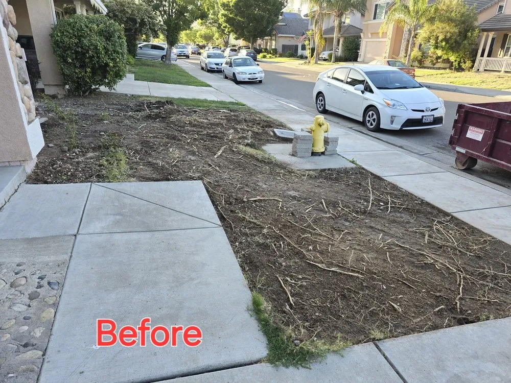 Top-rated yard cleanup service in Tracy, CA by John Le Landscaping