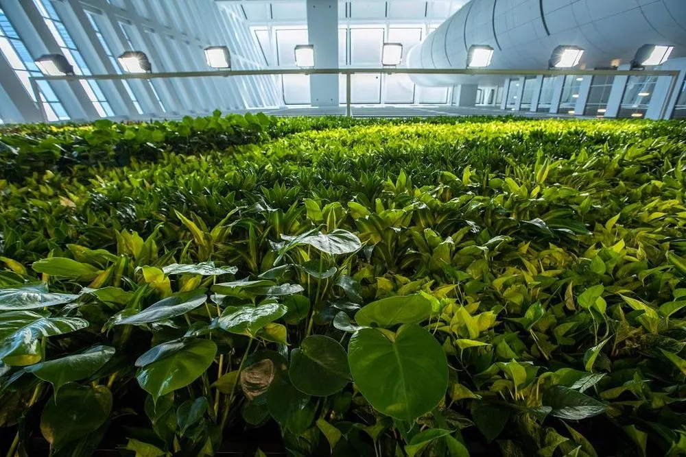 Professional residential landscaping in Congers, NY by John Mini Distinctive Landscapes