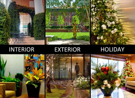 John Mini Distinctive Landscapes Logo