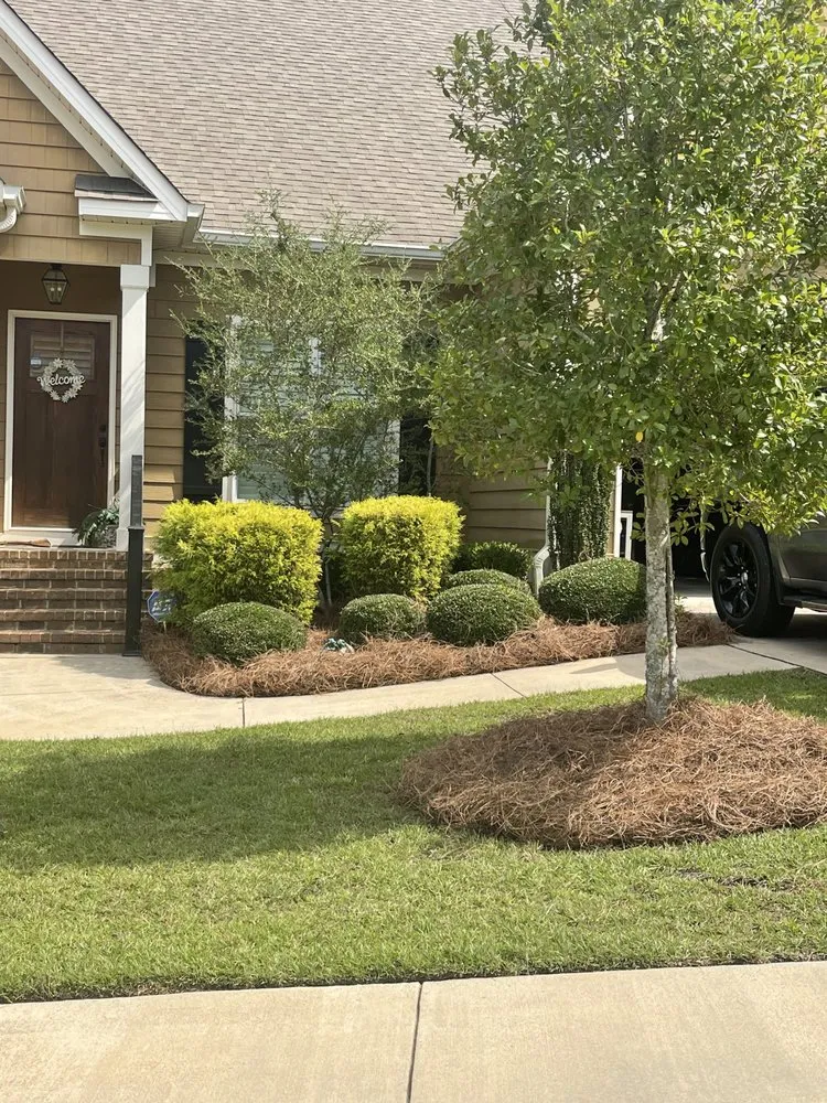 Reliable lawn care service in Macon, GA by John Morgan Lawn Maintenance
