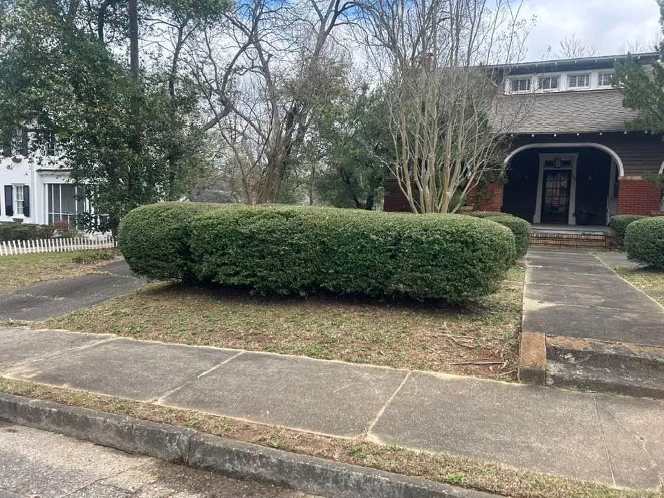 Top-rated garden landscaping for residential properties in Macon, GA by John Morgan Lawn Maintenance