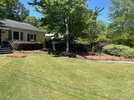 John Morgan Lawn Maintenance Logo