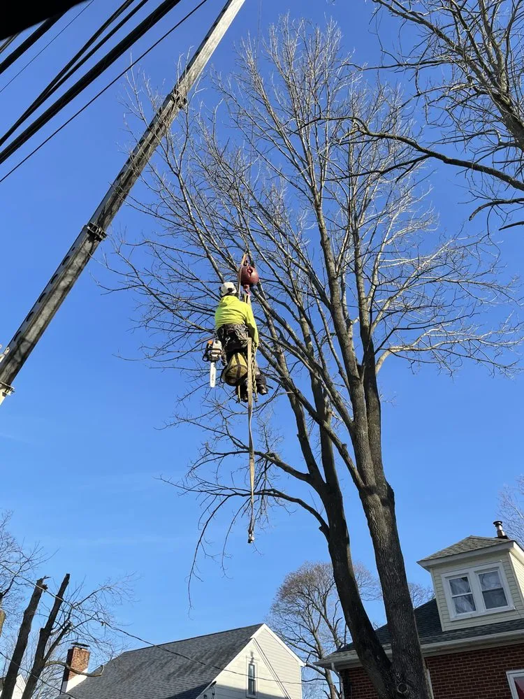 Trusted garden landscaping for outdoor upgrades in Newportville, PA by John Pond’s Tree Service