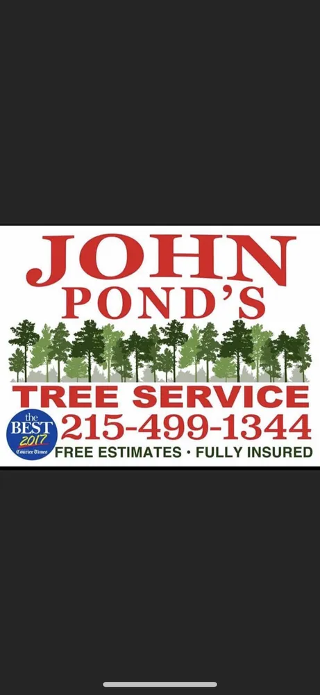 Professional landscape design in Newportville, PA - John Pond’s Tree Service