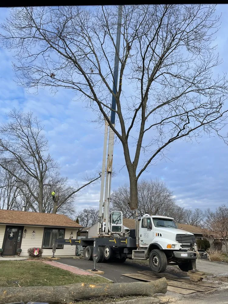 Professional lawn care service for homes across Newportville, PA - John Pond’s Tree Service