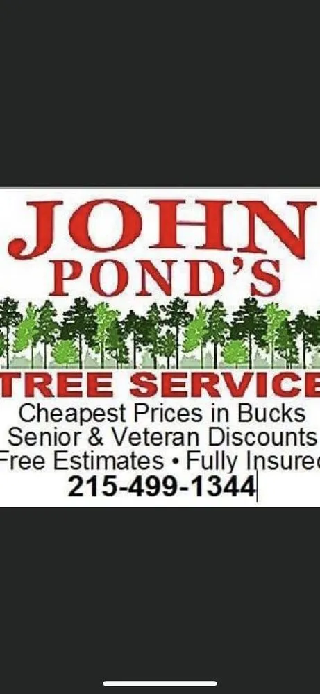 Expert outdoor landscaping experts serving Newportville, PA - John Pond’s Tree Service