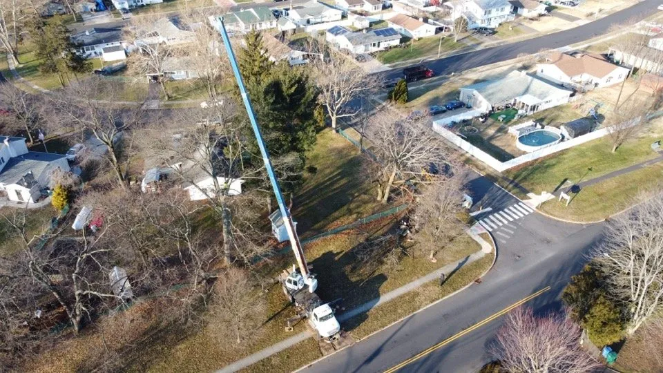 Local outdoor landscaping near you across Newportville, PA - John Pond’s Tree Service