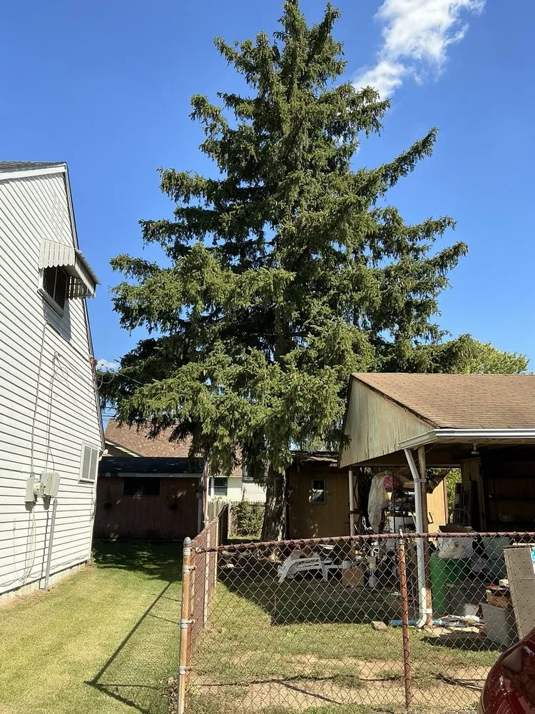 Reliable landscape installation in Newportville, PA - John Pond’s Tree Service
