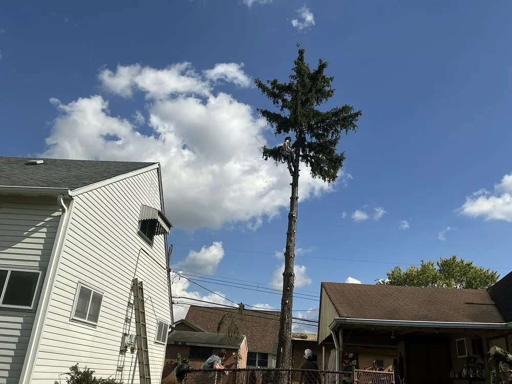 Custom residential landscaping for residential properties across Newportville, PA - John Pond’s Tree Service