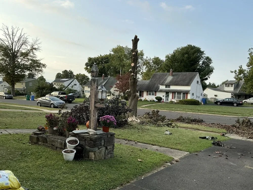 Professional landscaping services in Newportville, PA by John Pond’s Tree Service