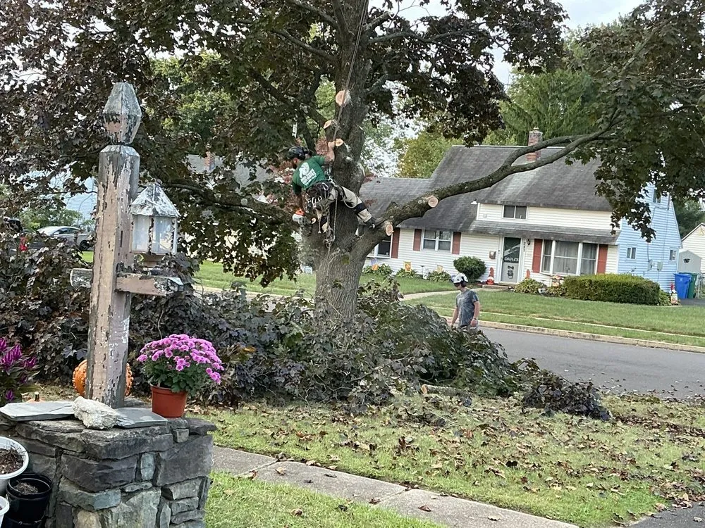 Reliable garden landscaping in Newportville, PA by John Pond’s Tree Service