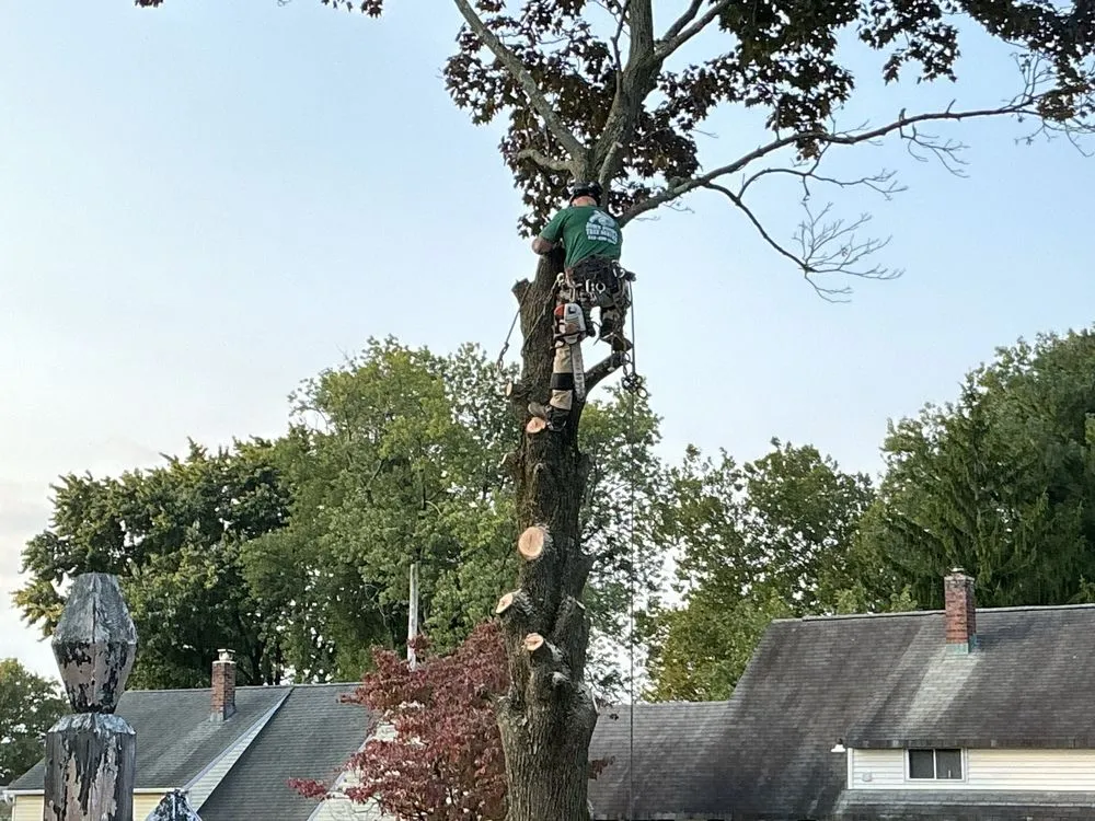 Custom landscaping services experts serving Newportville, PA - John Pond’s Tree Service