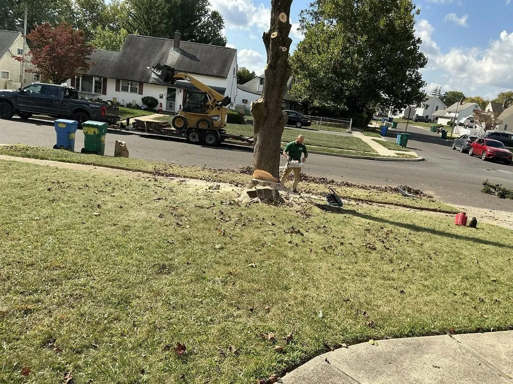 Local landscape installation for outdoor upgrades in Newportville, PA by John Pond’s Tree Service