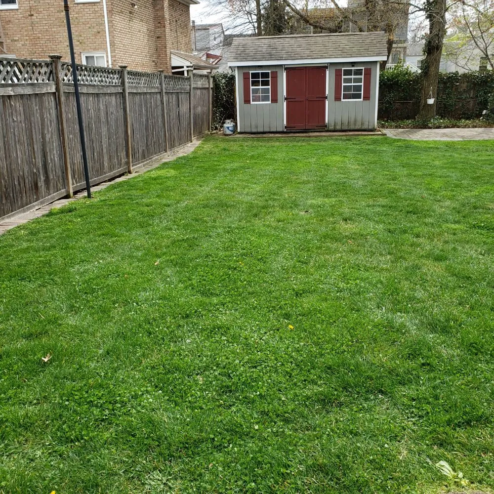 Expert yard cleanup service experts serving Monroe Township, NJ - John Primavera Landscaping