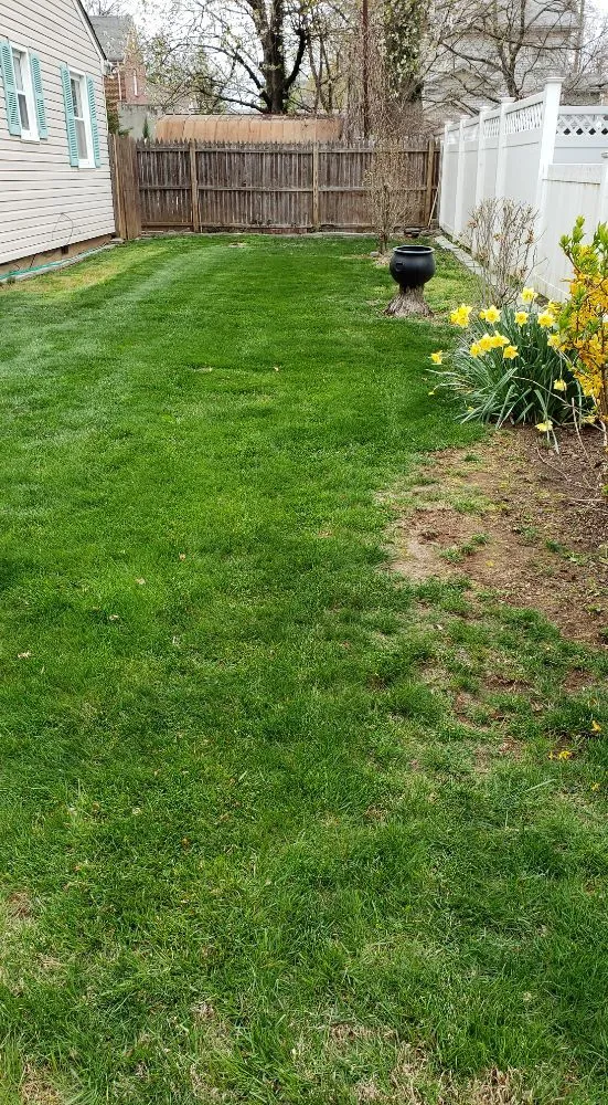 Trusted yard cleanup service for residential properties in Monroe Township, NJ by John Primavera Landscaping