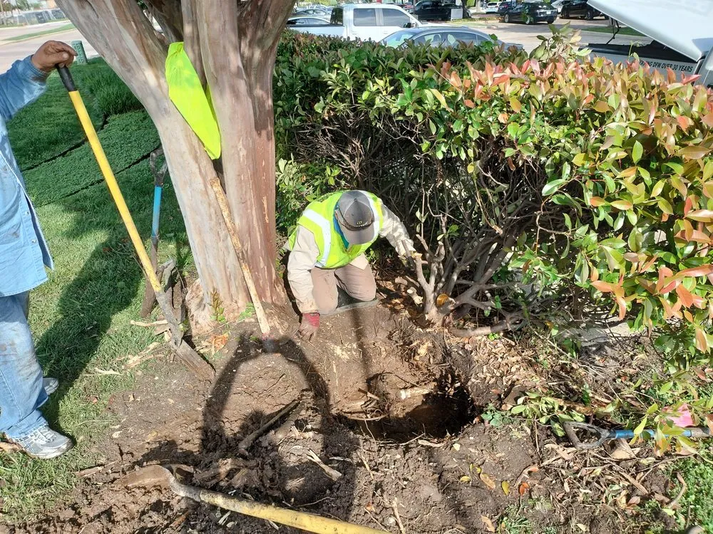 Custom landscape installation experts serving Dallas, TX - John R Ross Company