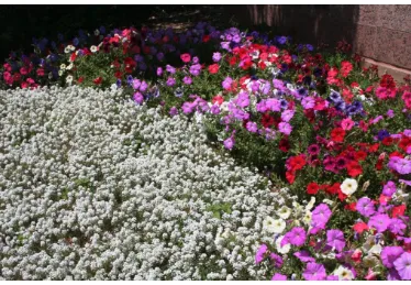 Top-rated outdoor landscaping for residential properties in Dallas, TX by John R Ross Company