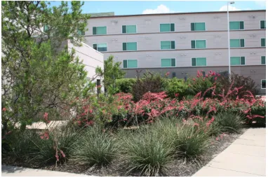 Top-rated garden landscaping in Dallas, TX by John R Ross Company