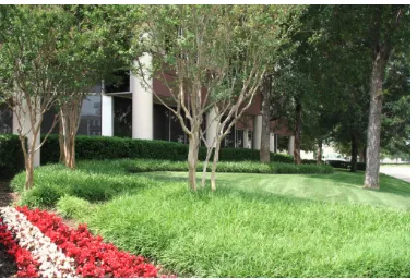 Affordable landscaping services in Dallas, TX - John R Ross Company