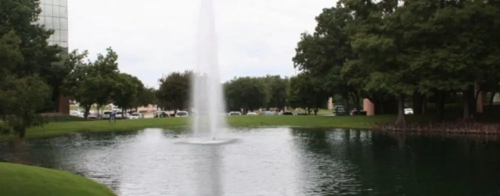 Top-rated lawn care service for outdoor upgrades across Dallas, TX - John R Ross Company