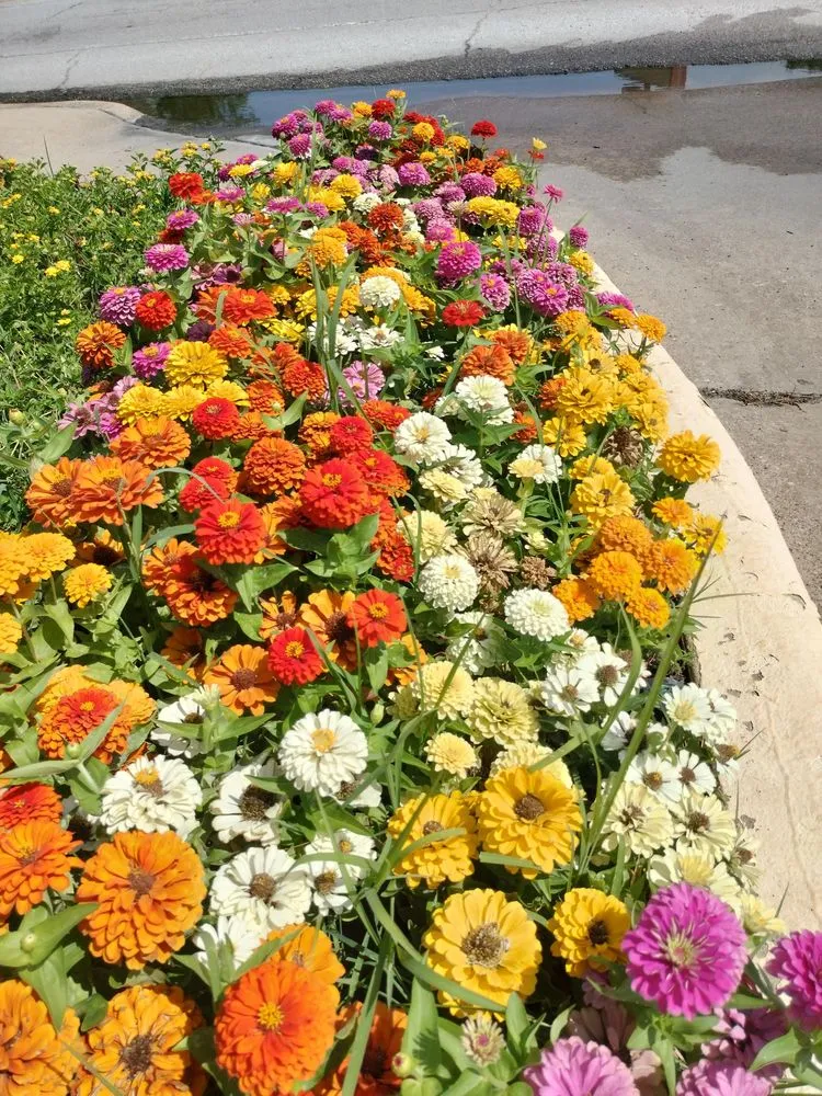 Local lawn mowing service near you across Dallas, TX - John R Ross Company