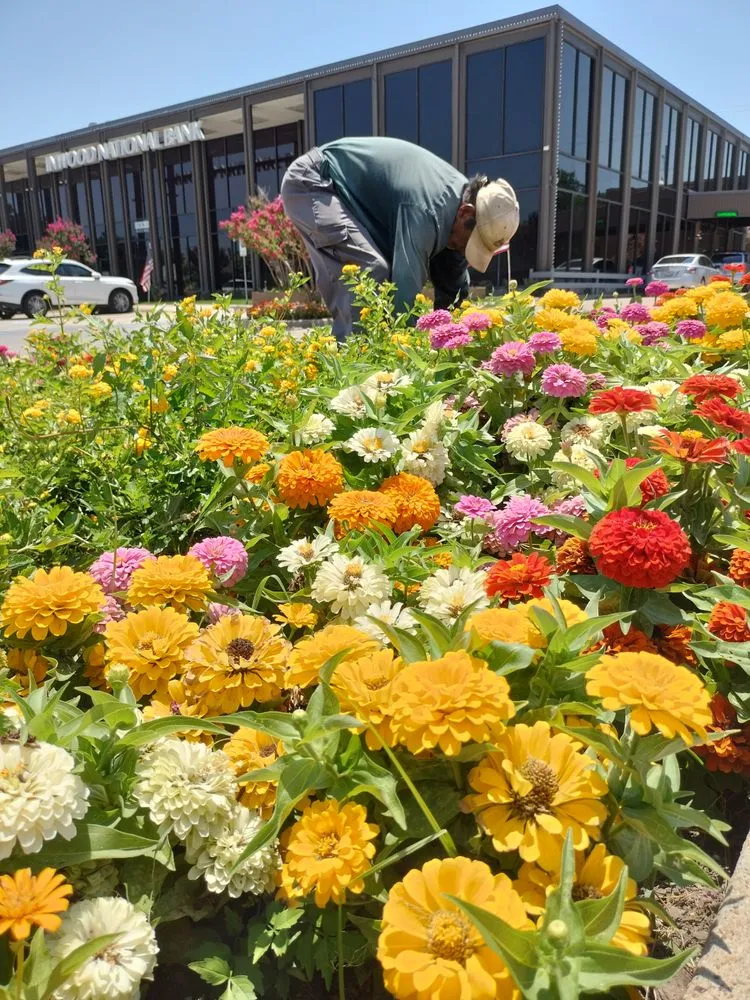 Professional yard maintenance in Dallas, TX by John R Ross Company