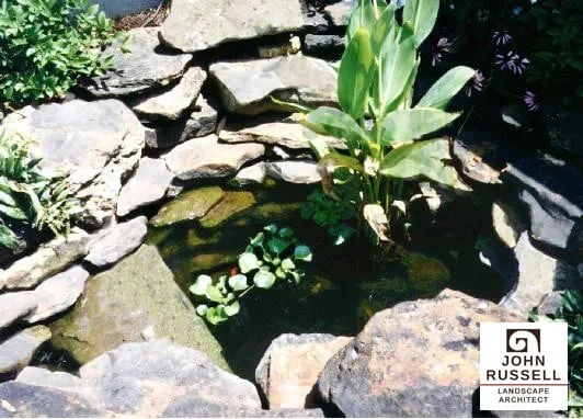 Professional landscaping services for year-round maintenance in Birmingham, AL by John Russell Landscape Architect