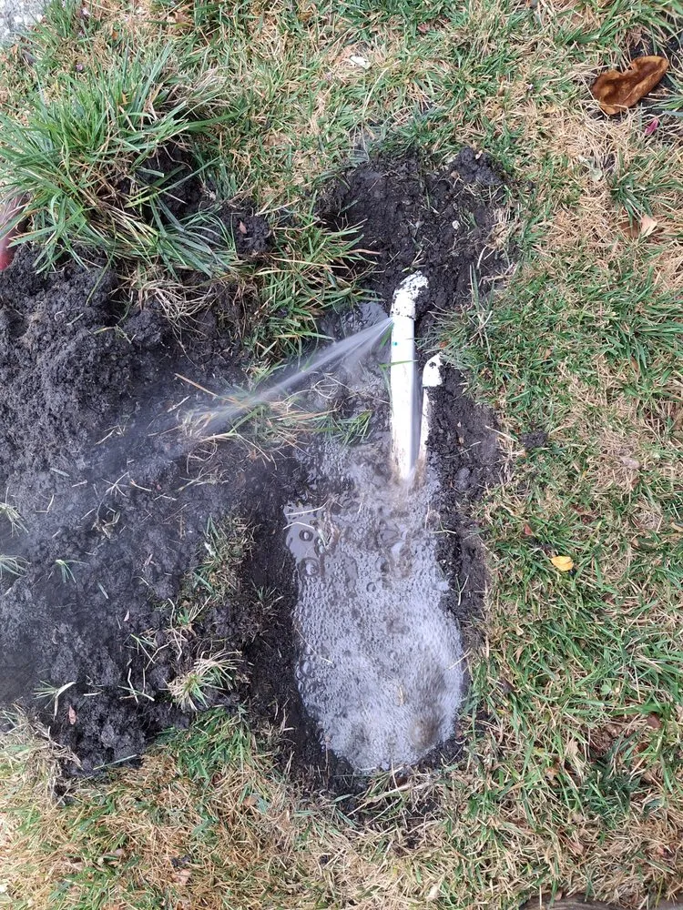 Professional lawn care service in Tracy, CA - John’ S Landscape