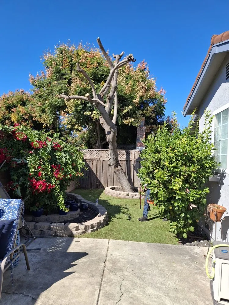 Top-rated lawn mowing service in Tracy, CA - John’ S Landscape