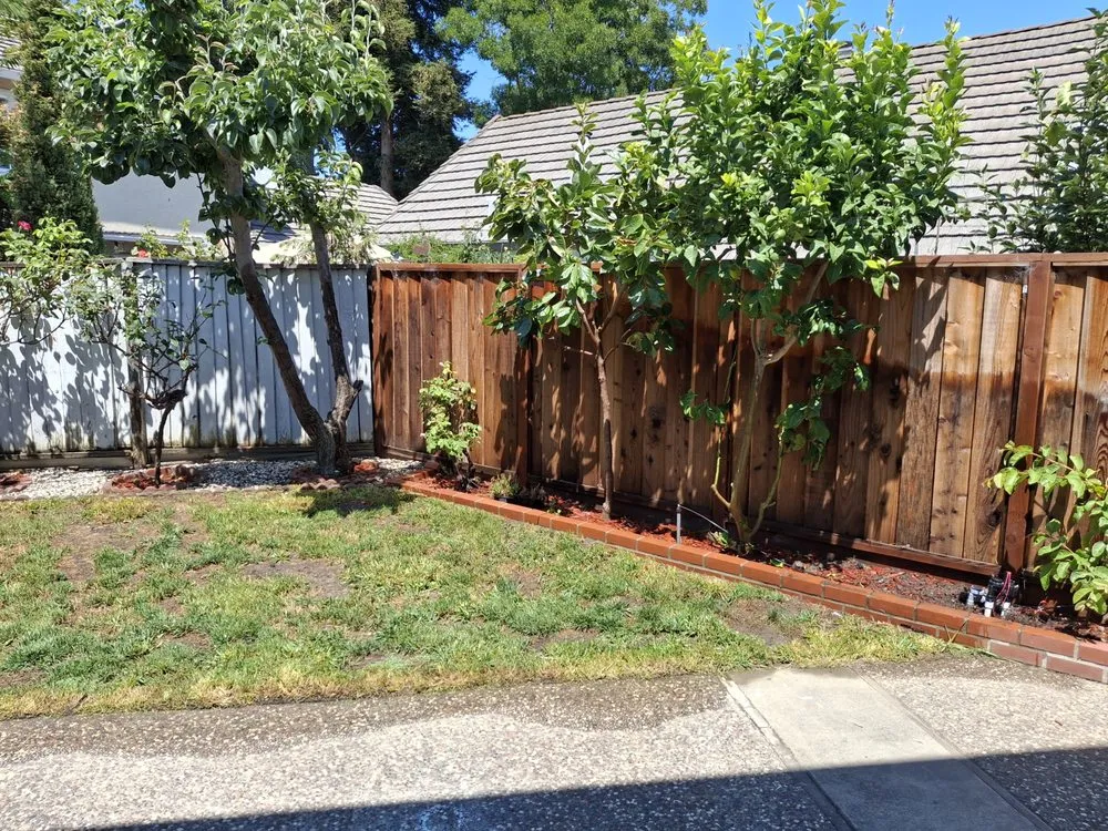 Expert yard cleanup service experts serving Tracy, CA - John’ S Landscape