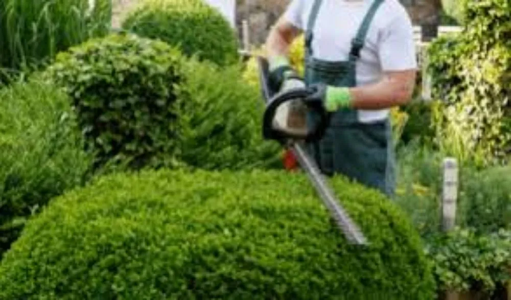 Expert yard cleanup service experts serving Boca Raton, FL - John Samples Landscaping Pro And Go