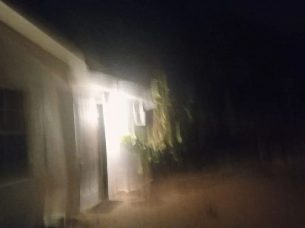 Top-rated lawn care service in Boca Raton, FL by John Samples Landscaping Pro And Go