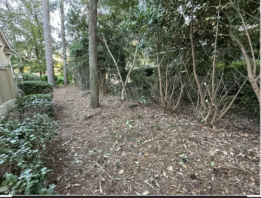 Top-rated lawn mowing service in Rincón, GA by John Son Green Wash