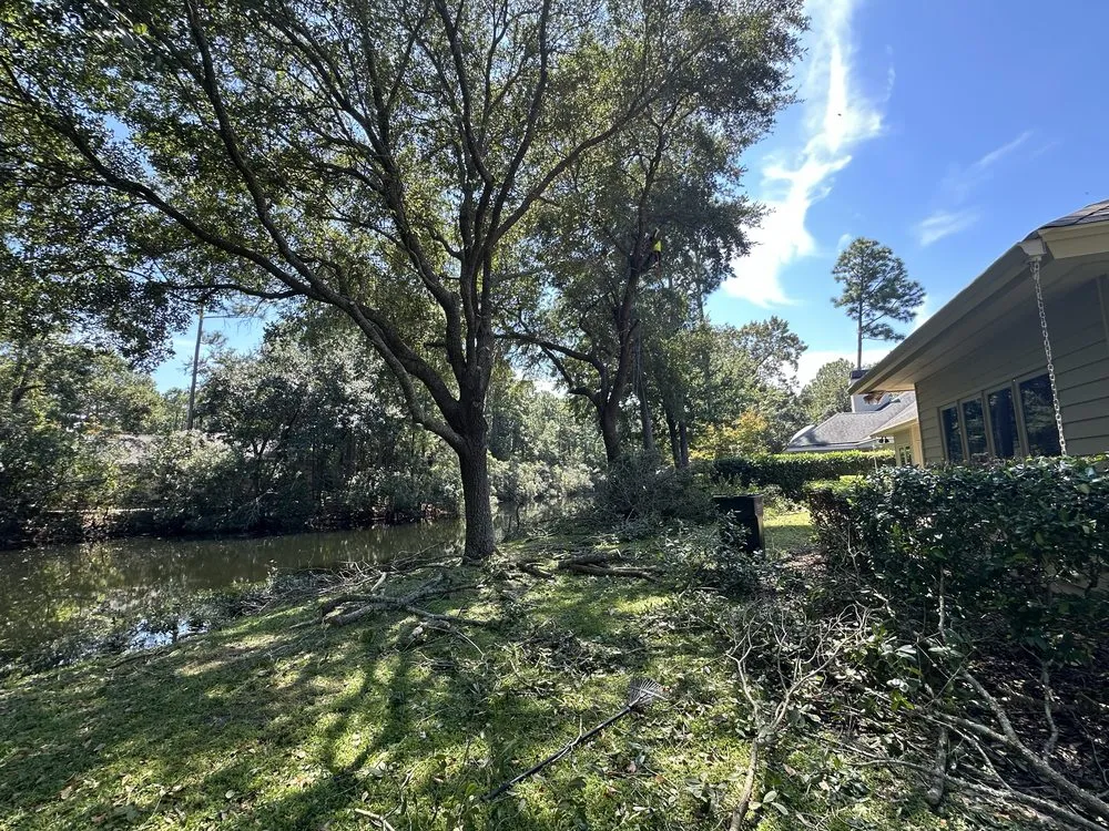 Trusted landscaping services in Rincón, GA - John Son Green Wash